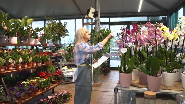A middle-aged woman with white hair works in a nursery, diligently counting and recording plants, embodying dedication and expertise in horticulture.