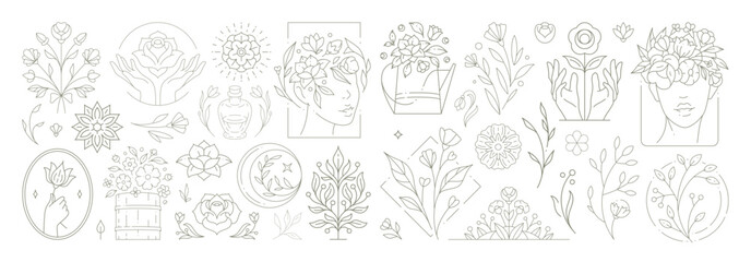 Beautiful flowers collection with botanical plants and leaves. Decorative line art flower emblems.