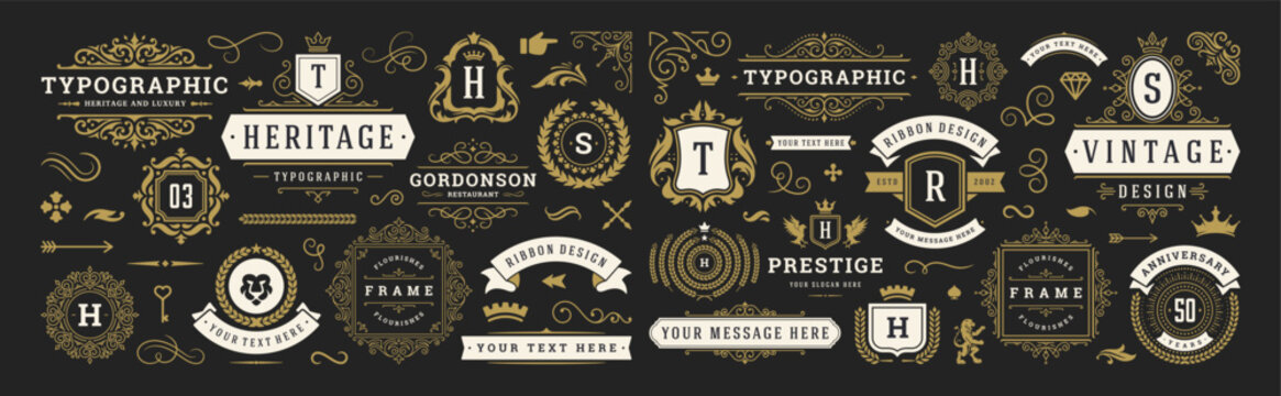 Vintage typographic decorative ornament design elements set vector illustration