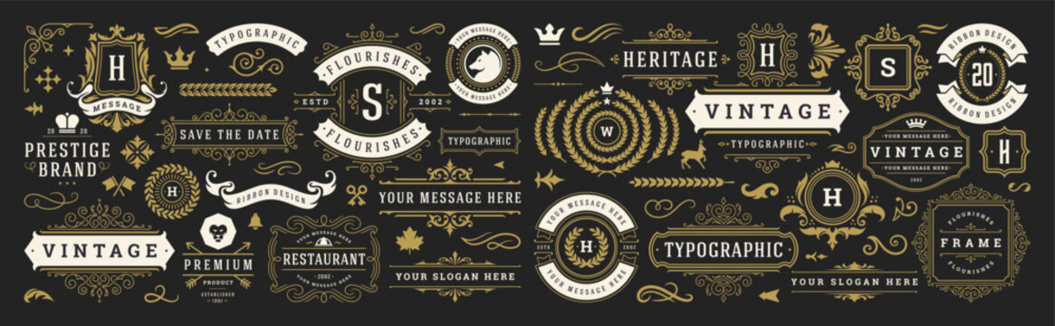 Vintage typographic decorative ornament design elements set vector illustration