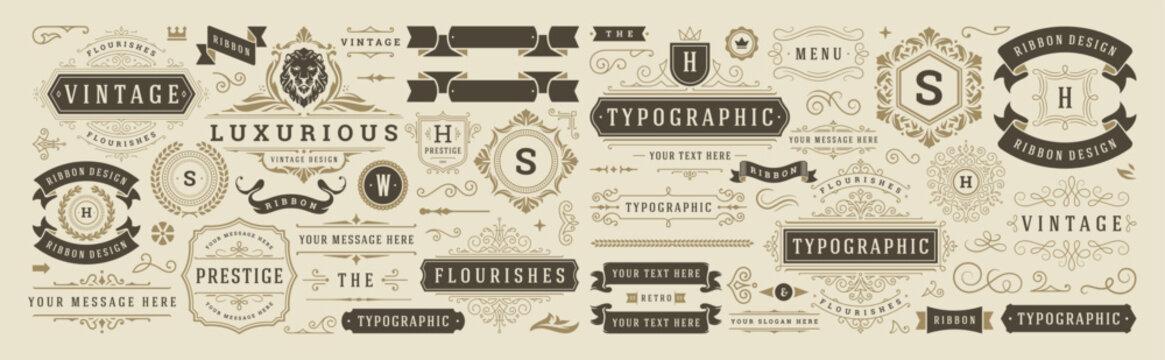 Vintage typographic decorative ornament design elements set vector illustration