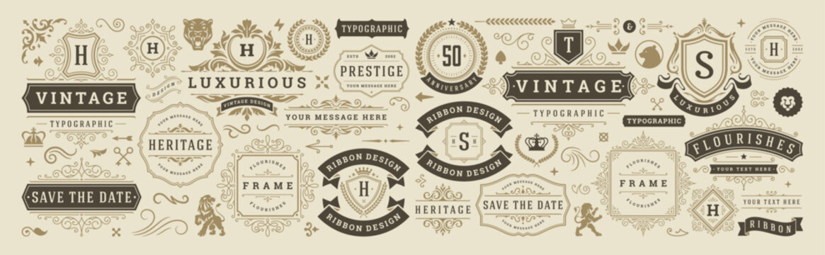 Vintage typographic decorative ornament design elements set vector illustration