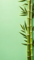 Naklejka premium Bamboo stems and leaves on a green background with copy space