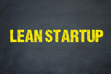 Lean Startup