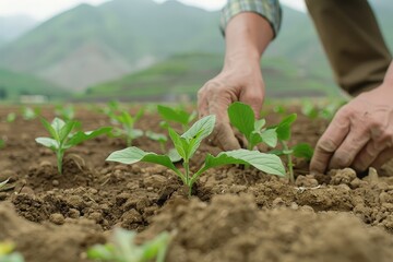 Embracing Agricultural Innovation: Farmer Engaged in Sustainable Farming Workshop Fostering Community and Education