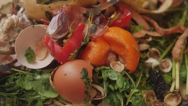 Food Waste. Compostable Food Scraps, time lapse. Domestic waste for compost from fruits and vegetables