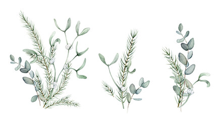 New Year's set of green plants eucalyptus and white mistletoe. Coniferous forest branches of spruce or fir. Watercolor hand drawing illustration on isolated white background.