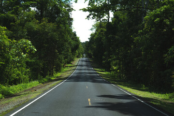 Obraz premium Road way to the nature in national park, exploration, journey or adventure in rainforest, Asphalt road in natural area, environmental inspiration green background, concept of scenery, wild and freedom