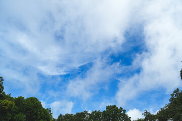 Blue sky with clouds.A panoramic blue sky with trees and leaves background or banner, nature wallpaper, green leaf, greenery, and sunlight, concept of freshness and freedom refreshing with copy space.
