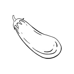 Eggplant. Hand drawn vector illustration.