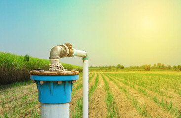 Drilling an artesian well and distributing water with PVC pipes Groundwater pumping system uses...