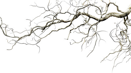 gnarled tree branches with red and yellow leaves on a transparent background