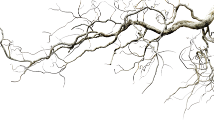 gnarled tree branches with red and yellow leaves on a transparent background