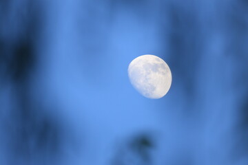 お昼の青空に浮かぶ月