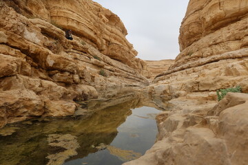 Yerga canyon with a small quantity of water between the canyon rocks in Tih plateau in Sinai in Egypt