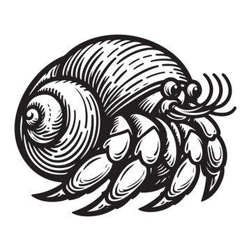 black and white hermit crab in shell clip art preview