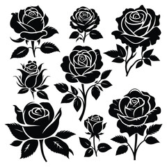 Set of vector black and white rose flowers silhouettes illustration set of isolated on a white background.