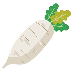 White daikon radish vegetable, flat design vector illustration, fresh white radishes cartoon icon, daikon radishes clipart image, sayuran lobak putih clip art, healthy vegetables