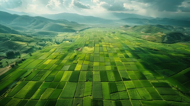 Satellite Imaging for Farming: satellite imagery being used to analyze large agricultural fields, showcasing the use of space technology in monitoring crop health.