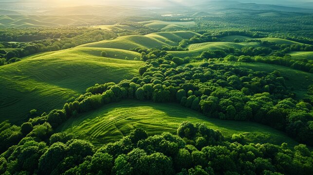 Satellite Imaging for Farming: satellite imagery being used to analyze large agricultural fields, showcasing the use of space technology in monitoring crop health.