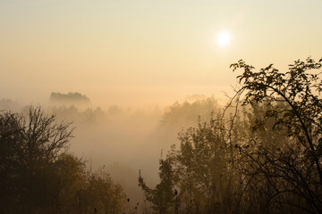 Fog in the autumn morning, the sun at dawn, natural natural background.