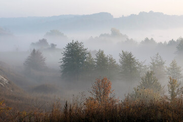 Fog in the autumn morning, the sun at dawn, natural natural background.
