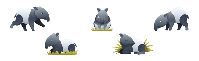 Cute Malayan Tapir as Asian Animal with White Patch and Short Nose Trunk in Different Pose Vector Set