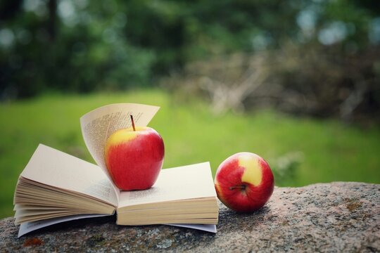 Book, apples, mind, garden, read, outdoors, hobby, background, free space, copy space, horizontal