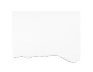 Torn white paper isolated on transparent background