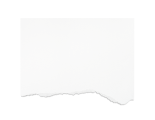 Torn white paper isolated on transparent background
