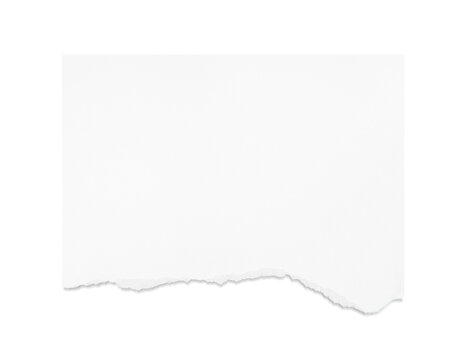 Torn white paper isolated on transparent background