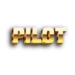 3D Pilot text poster art