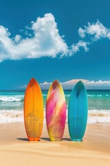 Colorful surfboards standing on a beautiful beach in summer time