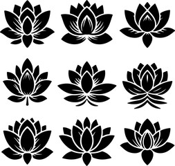 Silhouette of lotus flower