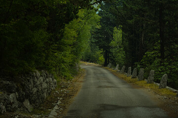 Obraz premium beautyfull road in the forest