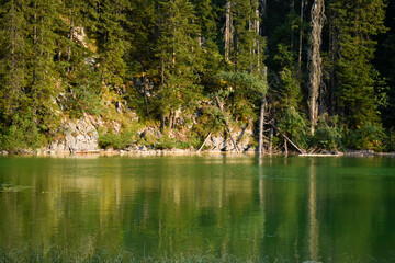 green lake in the woods