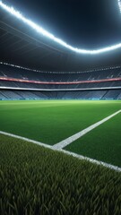 Fototapeta premium soccer field with lines sport green field sport