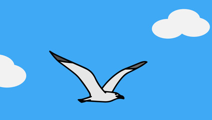 A seagull flies against a background of blue sky and clouds