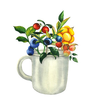 Watercolor mug with berries composition of hand drawn cowberry, cloudberry and blueberry with berries, leaves, branches. Botanical forest berry illustration on white isolated background. For banner
