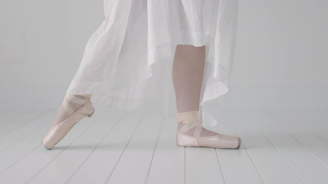 ballerina demonstrates the five basic ballet positions