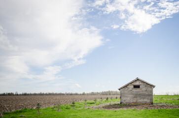 Small weathered shed in a vast field under a partly cloudy sky © Cavan