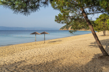 Koukounaries beach on Skiathos island in Greece