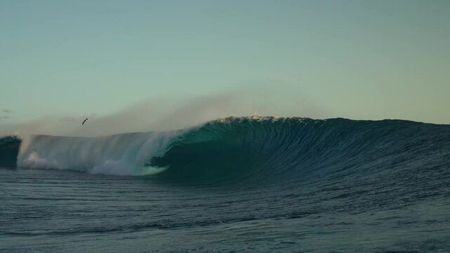 Teahupo'o monstrous famous surfing barrel wave Tahiti French Polynesia slow motion foam ball rainbow coral reef Paris summer Olympics 2024 offshore wind dreamy Passe Havae Faremahora Pacific Ocean pan