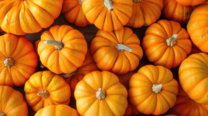 Market availability of small pumpkins Halloween pumpkin idea