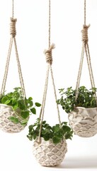 Handcrafted macrame plant holders for enhancing room decor with a touch of natural elegance