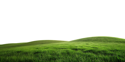 Obraz premium green grass field isolated on white background