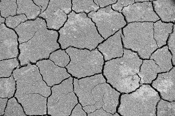 Wall texture soil dry crack pattern of drought lack of water of nature brown old broken background.