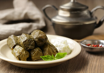 traditional dolma in grape leaves on a plate with sauce