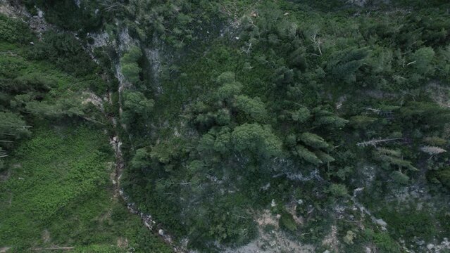 Aerial of Uinta Wasatch Cache National Forest Mountain Range in Utah