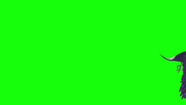 3d animation of a toucan flying horizontally on green screen cromakey